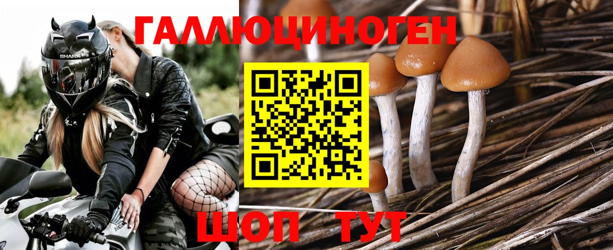 Псилоцибиновые грибы ЛСД Ликино-Дулёво