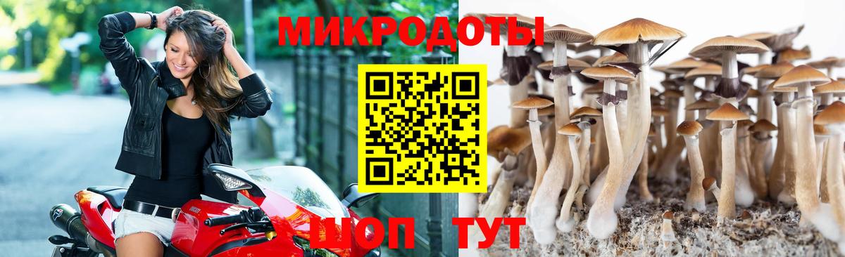 Ликино-Дулёво  Псилоцибиновые грибы GOLDEN TEACHER  Псилоцибиновые грибы MAGIC MUSHROOMS  Вход с VPN 